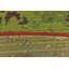 Tapis d'intérieur / extérieur rouge / beige à motif floral Merrimac-30321603