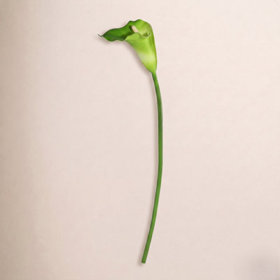 Cauldwell Calla Lily Stems