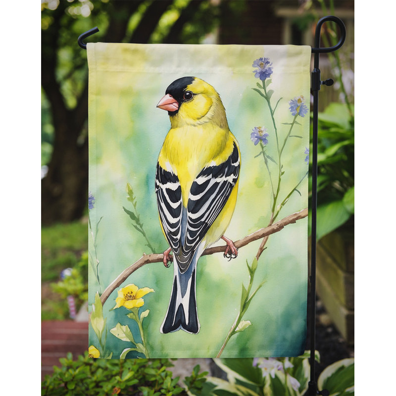 Drapeau de jardin, Chardonneret américain