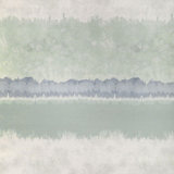Izumo Wp - Amsonia