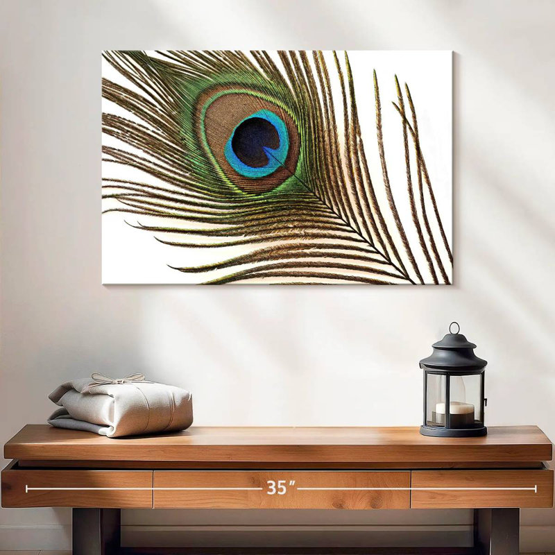 Brampt Peacock Feather, 16" H x 24" W