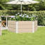 Raised Garden Bed-1928242962-1928242967