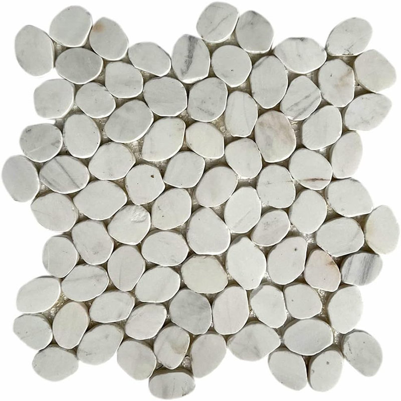 Carrelage rond en galette CNK Bianco Dolomite - 12 po x 12 po