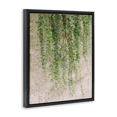 Hanging Ivy Vines Framed Floater Canvas Wall Art by Justine Milton