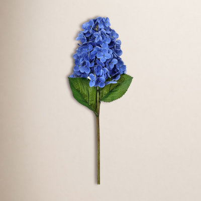 Cone Hydrangea Stems