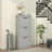 Narrow Shoe Cabinet with Flip Drawers Adjustable Shelf, Grey