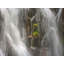 Paradise Falls 1 Print by Bruce Heinemann-65782440-65782441
