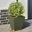 Raice Planter Box-2052172485-2052166972