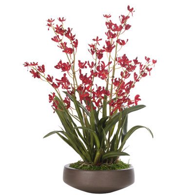 Orchid Vanda, Red, Concrete Bowl, 20wx20dx32h