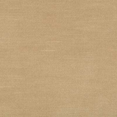 Gemma Velvet Fabric