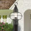 Aster Transparent Lantern Head-1606869822