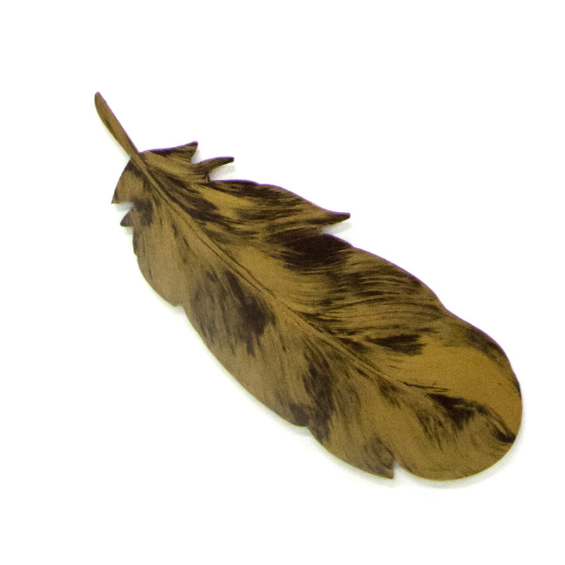 Plumes