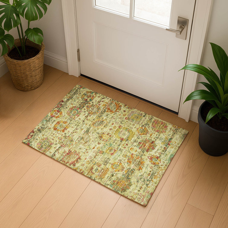 Premium Machine Washable Lucchesi AMF1732 Global Rug