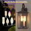 Lanterne murale d'extérieur 3 lumières Dallas-1975354415-1978890197