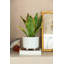 Ensemble de pots à fleurs en céramique 2 pièces Martha-706444143