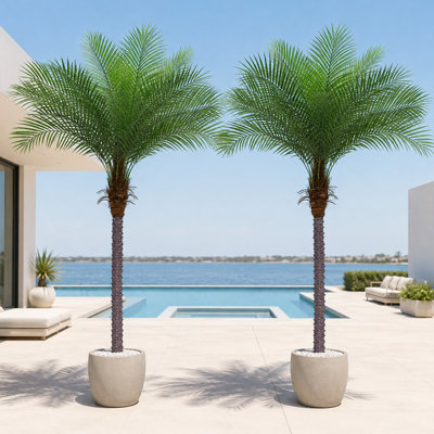 Arbre de coco artificiel de 5 pi, grande plante tropicale artificielle avec pot de chambre de bébé noir, faux palmier pour le salon, le bureau, l'hôtel, le patio couvert et le bord de la piscine (ensemble de 2)
