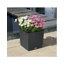 Moneak Planter Box-1392064359-1392064357