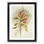 Magnolia Flowers Illustration Tab. 65 by Frederick Sander - Picture Frame Painting Print-55760191-55760185