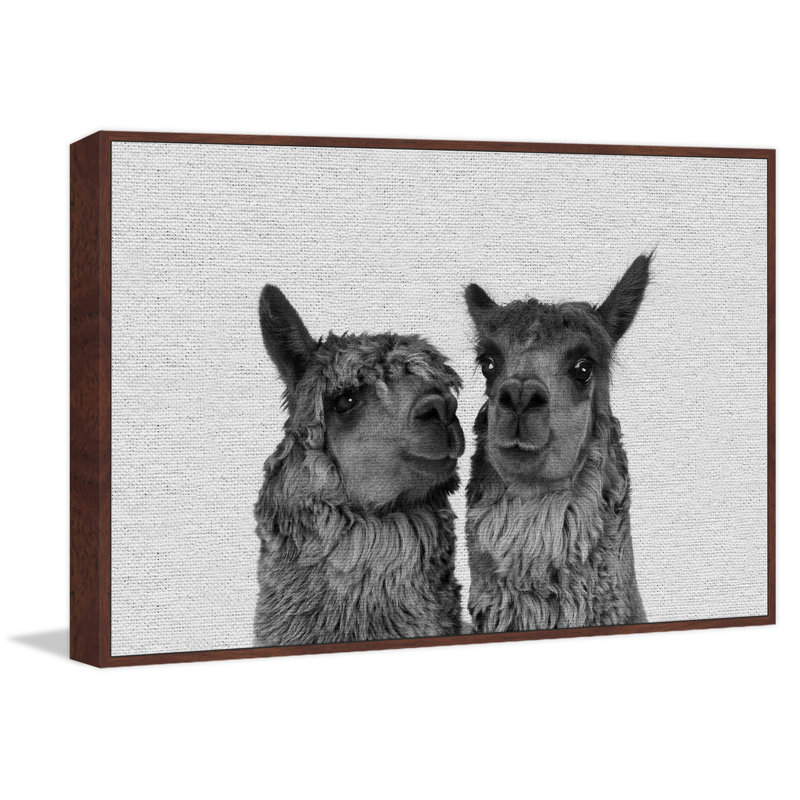 Llama Couple - Drawing on Canvas, 30cm H x 45cm W