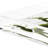 Moss Reindeer Acrylic Rectangle Decorative Tray