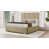 Mink