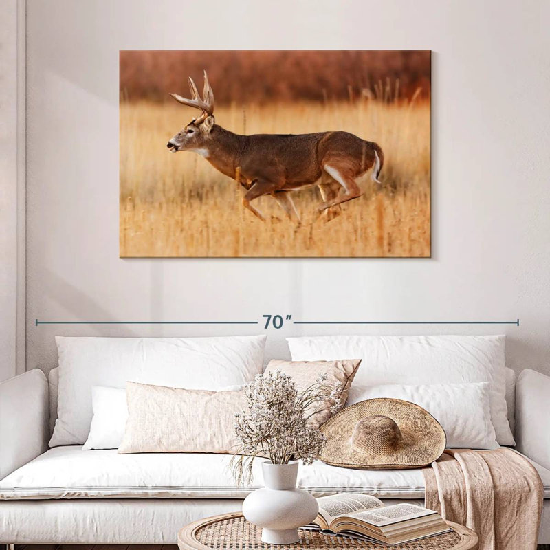 Brampt courir Buck, H 30 po x l 45 po