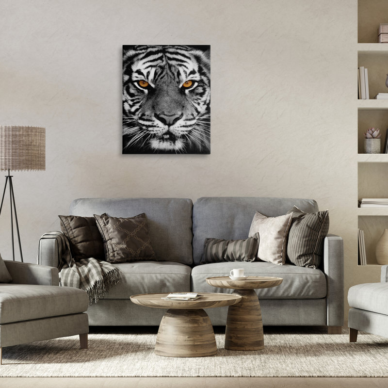 «Tigre féroce» par Danita Delimont, H 30 po x l 24 po