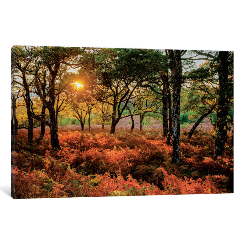 Paysage automne landscape, reproduction de photo sur toile tendue, H 40 po x l 60 po x P 1,5 po