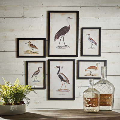 «Waterfowl Gallery», ensemble de 6 cadres photo