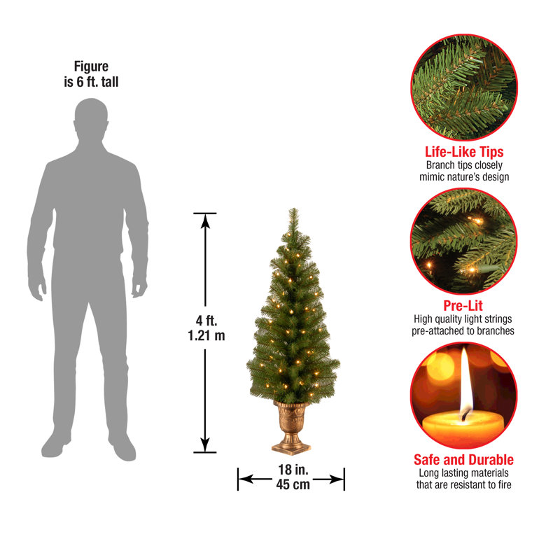 The Holiday Aisle® Montclair Spruce Entrance Tree with Clear Lights, 4'