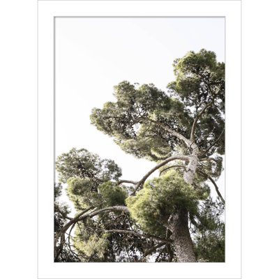 Reshma "Japanese Garden 01" Print