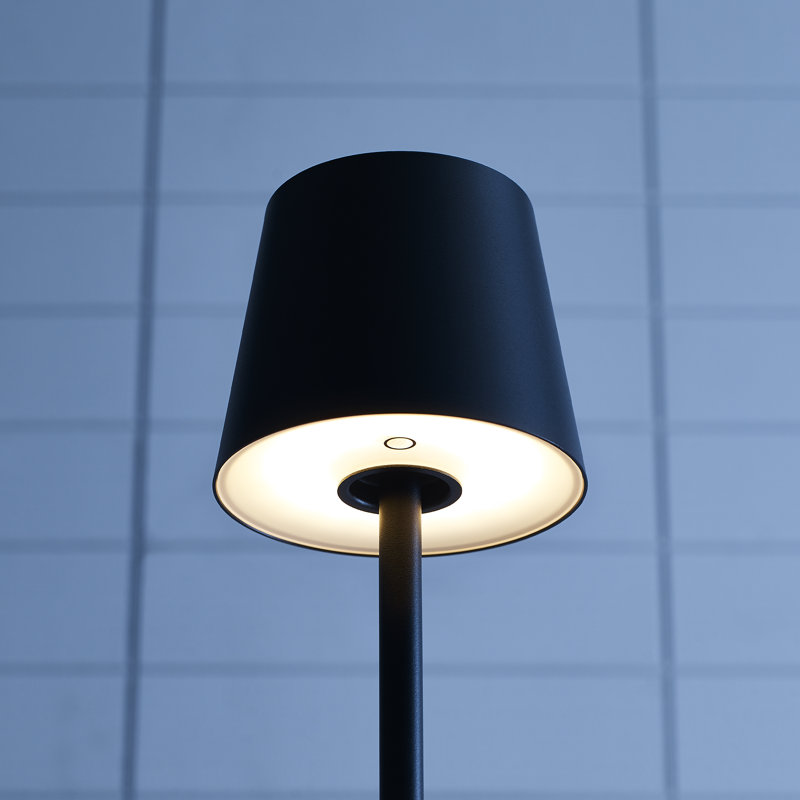 Nevis Medium Rechargeable Floor Lamp, Black