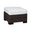 Club Outdoor Ottoman with Cushion-38586788-63361357-70039854