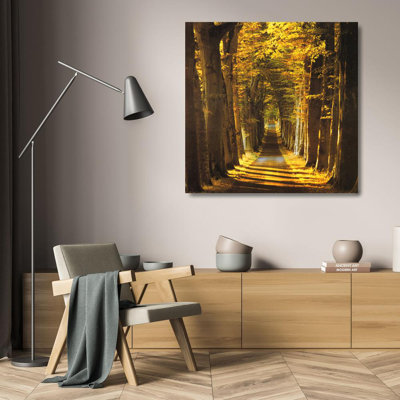 Tree Lined Avenue