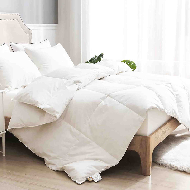 All Season Down Comforter, Single
