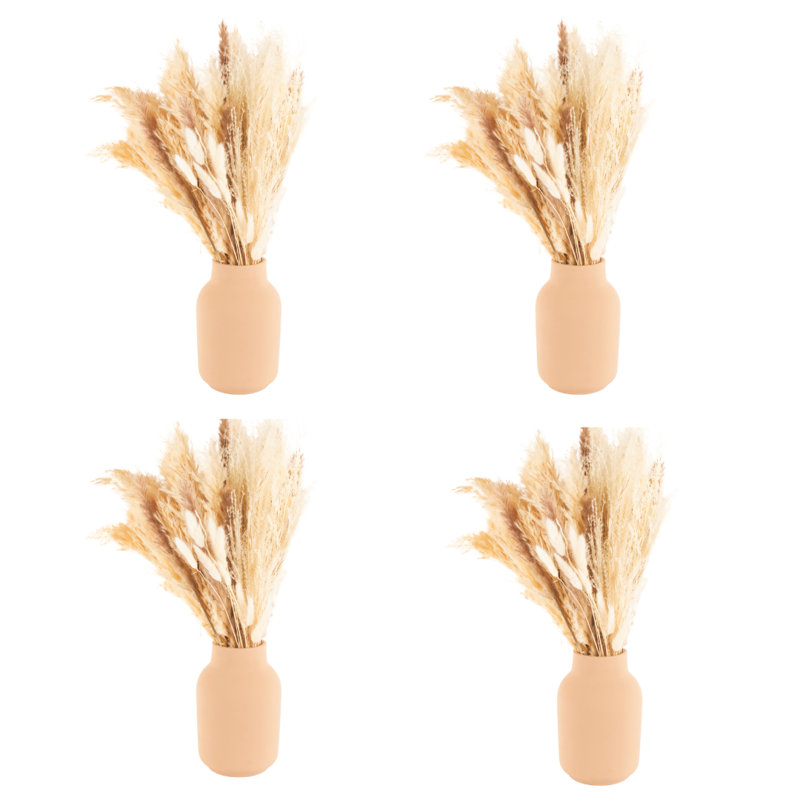 Idora Pampas Grass Arrangement, White