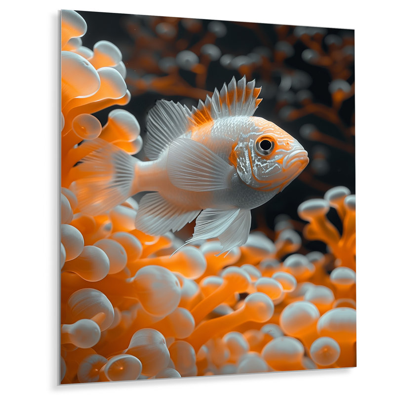 Orange blanc, corail, poisson, corail, Sans cadre, métal, H 12 po x l 20 po
