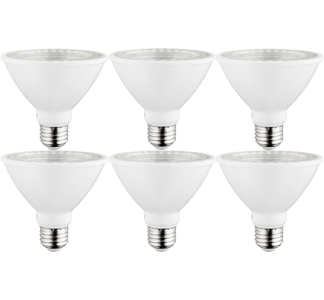 75 Watt Equivalent PAR30 E26/Medium (Standard) Dimmable LED Bulb (Set of 6) Sunlite