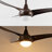 Coleigh 52'' Ceiling Fan with LED Lights-2010980606