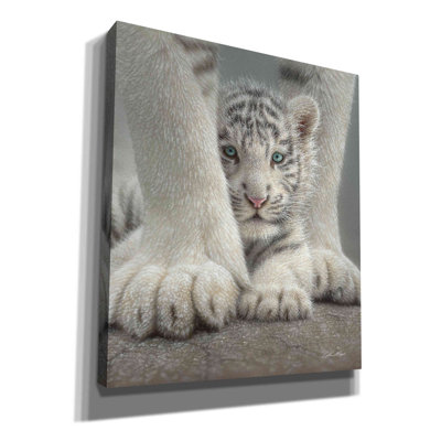 'Sheltered' by Collin Bogle, Canvas Wall Art