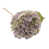 Lilac selected