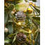 Faux Lighted Mistletoe 10.2cm Wreath