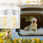 Steel Free Standing Pet Gate