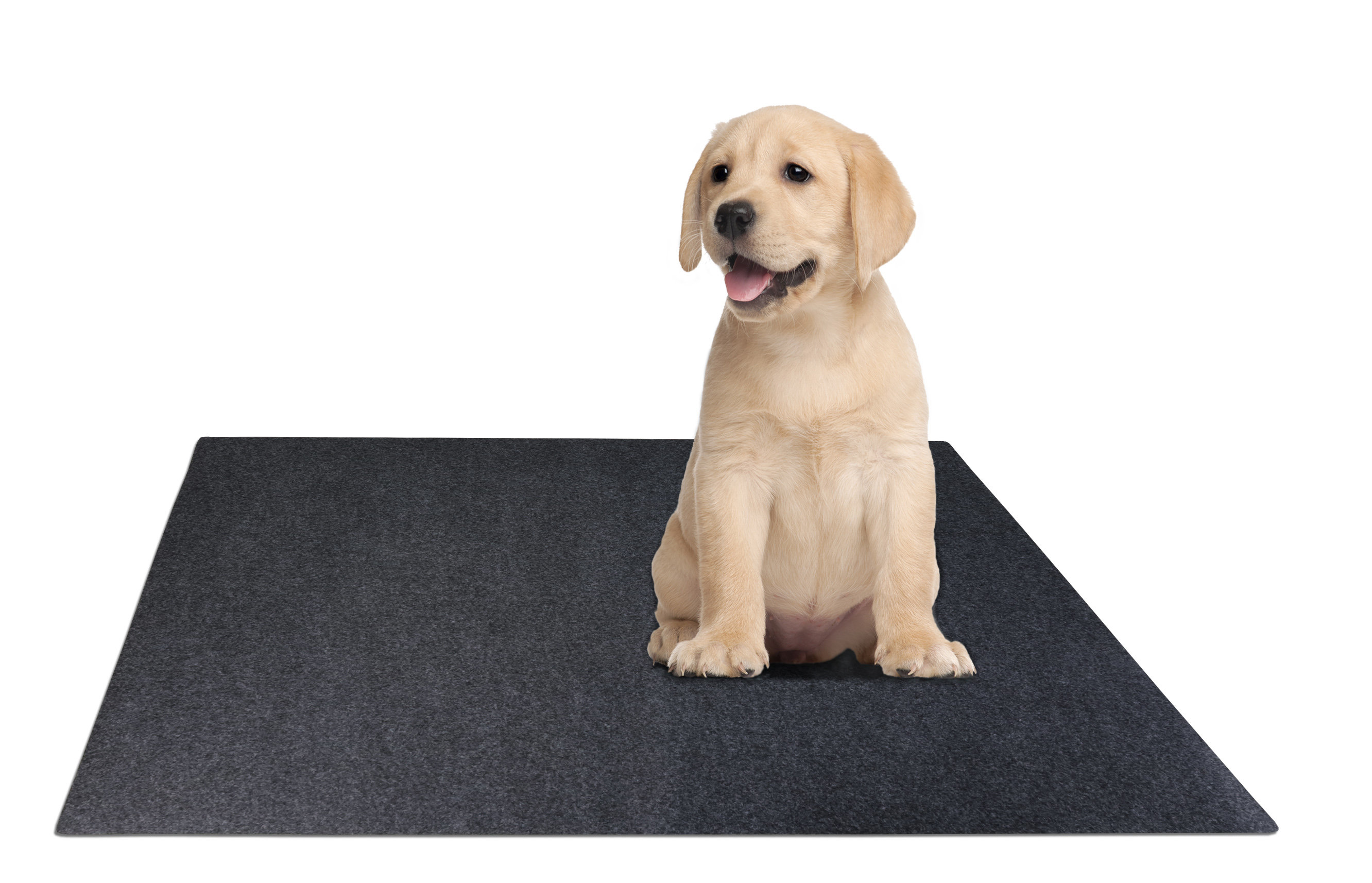 https://assets.wfcdn.com/im/94712681/compr-r85/2195/219542385/washable-reusable-potty-training-pads-for-dog-absorbentwaterproofmachine-washable.jpg
