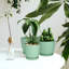 Pots à plantes d'intérieur avec drainage-1952380640