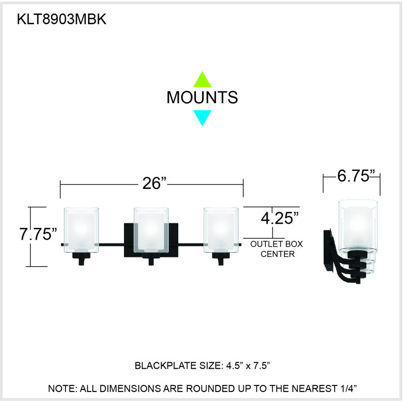 Matte Black 3-Light Vanity with Frosted Glass Shades