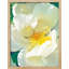 Art mural floral pastel blanc magnolia, impressions botaniques décoratives pour salon, encadré sur papier-93487739-93487734