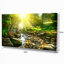 «Mountain Stream in Forest», reproduction de photo sur toile-802859901-802859903