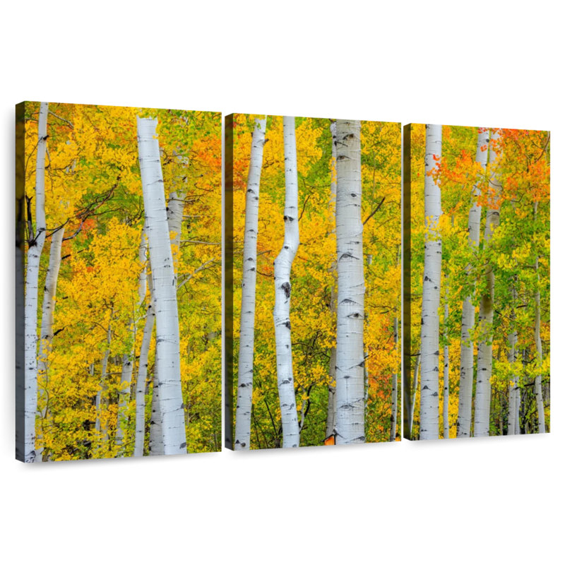 Arbres Telluride d'Alvord, H 32 po x l 50 po