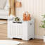 Storage Chest, 24.8" Small Toy Chest, Storage Bench With Safety Hinge-1164000490